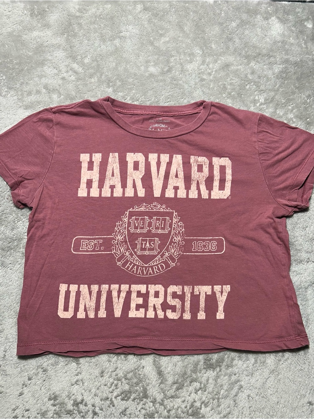 University Women's Mauve Graphic Tee, Small